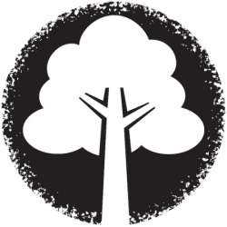 wilderness-wood wilderness-wood